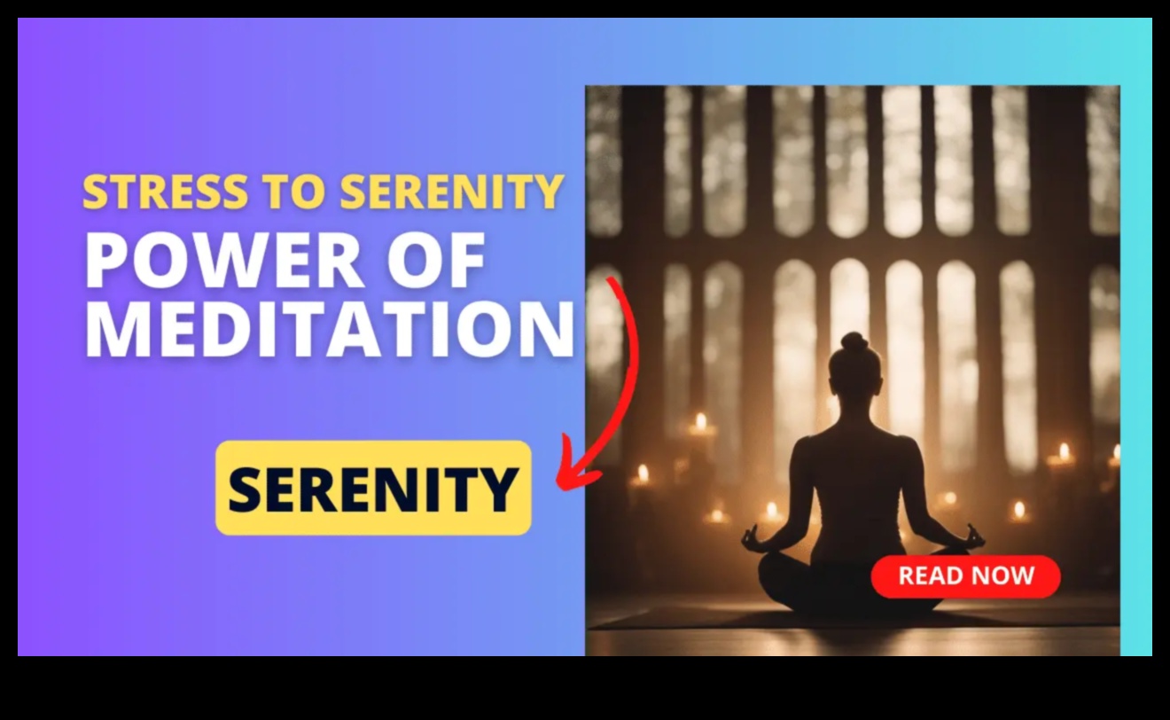 Serenity Now: Meditasyonu benimseyerek stresi azaltma