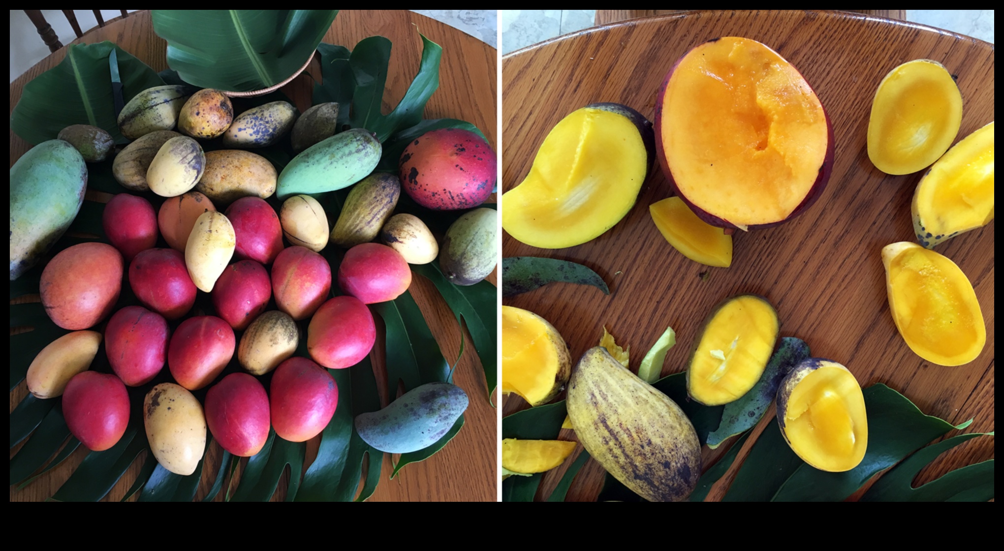 Mango Mania: Tropikal Asya Lezzetleri Tabağınızda