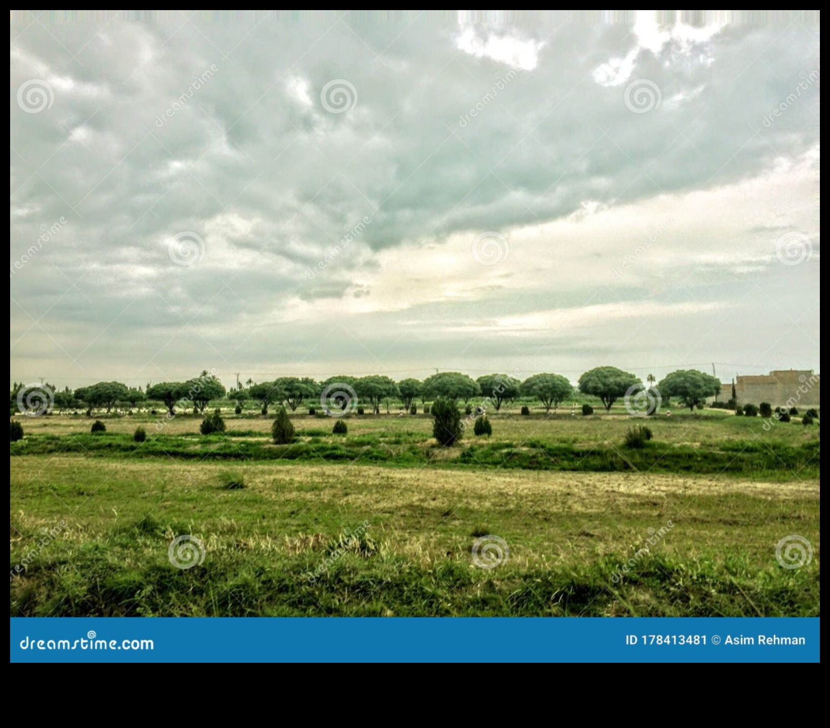 Kırsal Hayaller: Pastoral Sahnelerin Özünü Yakalamak